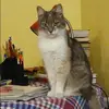 Отзыв от Майя Зыкова